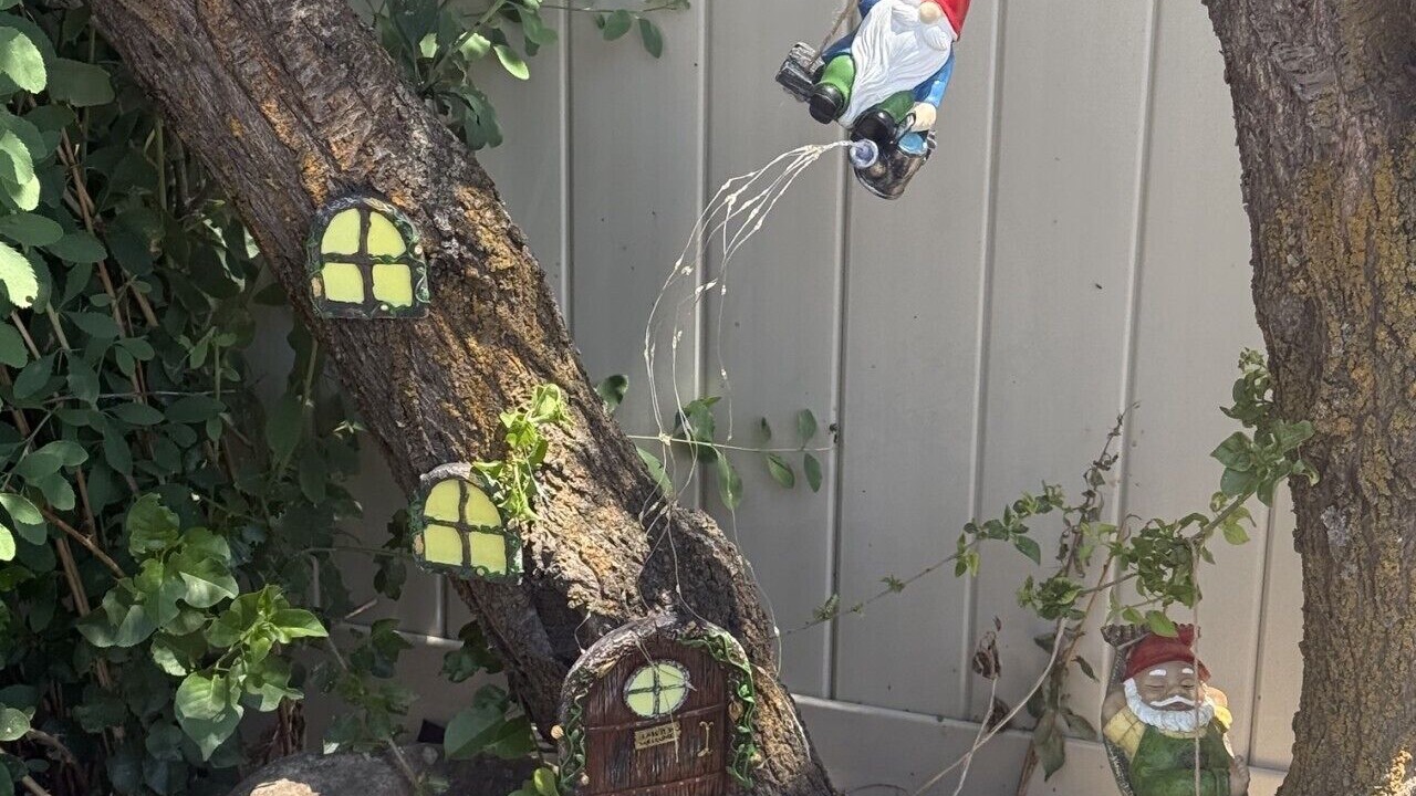 Photo of Outdoor in Logan