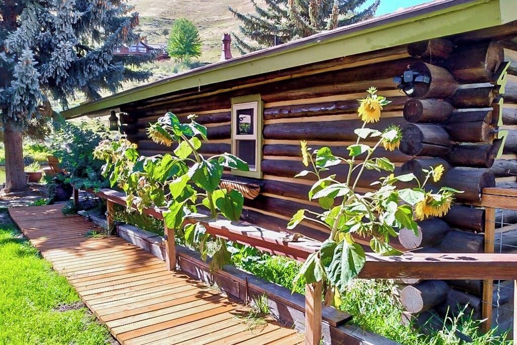 Photo of Outdoor in Jackson