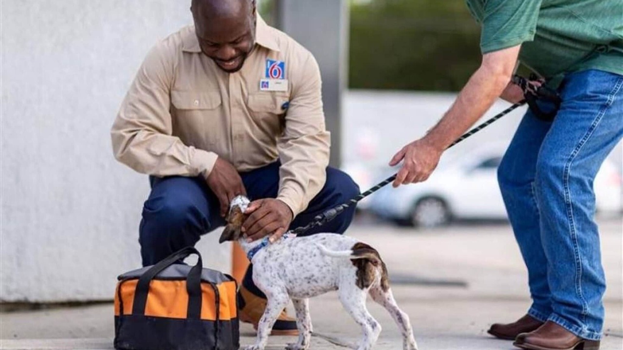 Photo of Others in Grant Creek