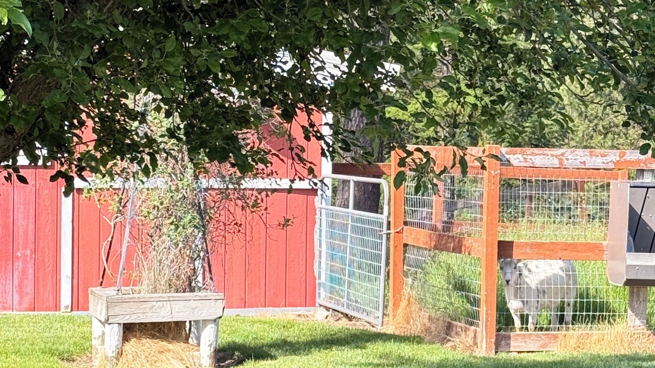 Photo of Outdoor in Colbert