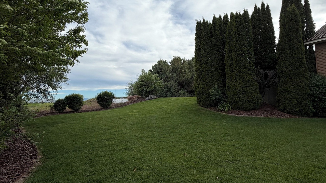 Photo of Outdoor in Moreland