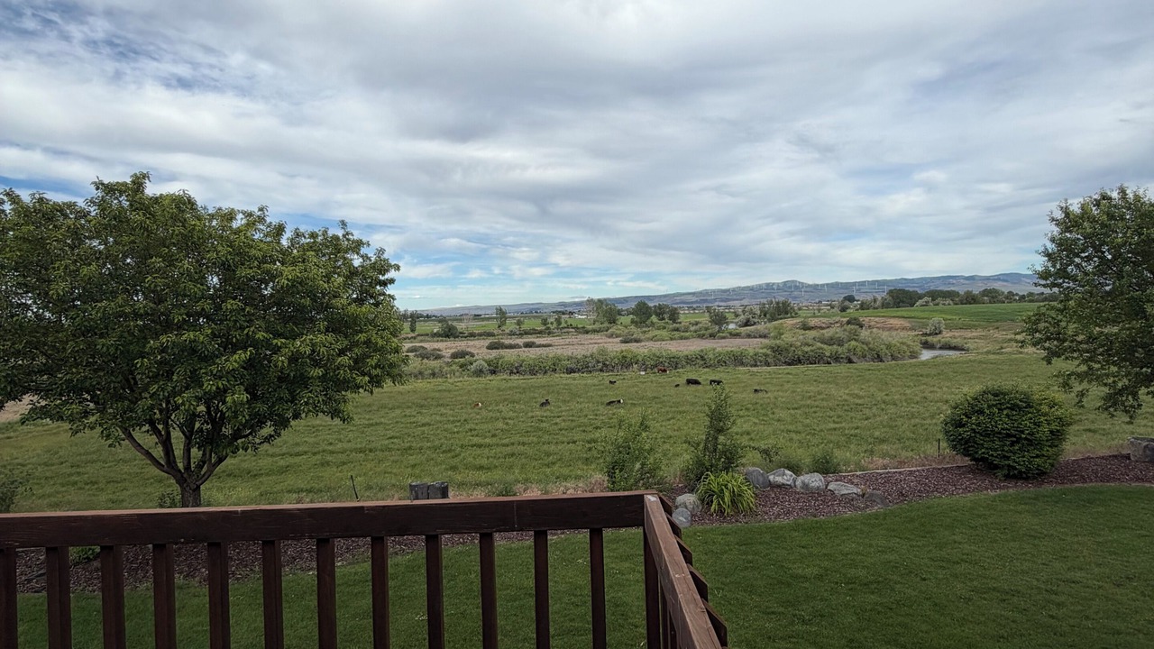 Photo of Outdoor in Moreland