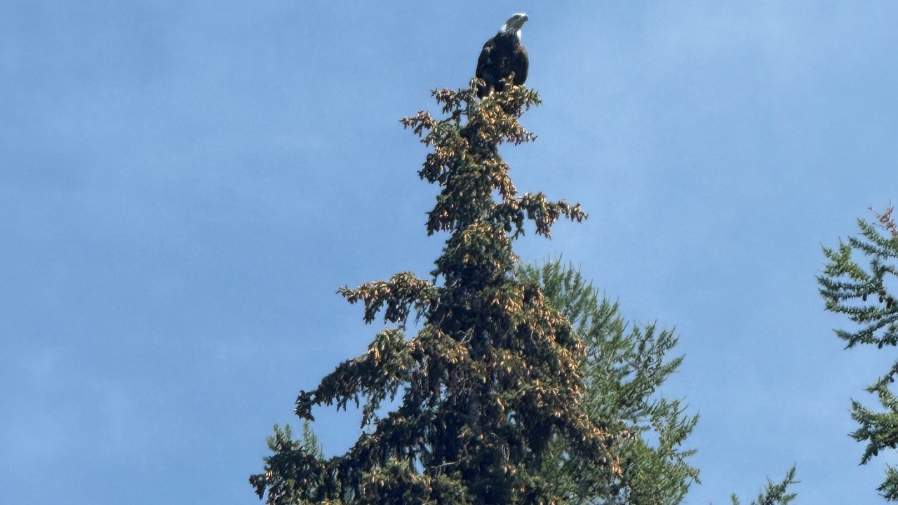 Photo of Others in Seeley Lake
