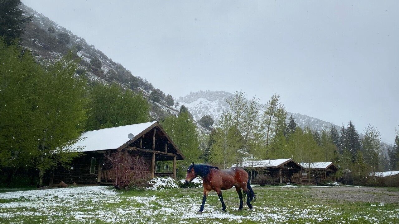 Photo of Others in Afton