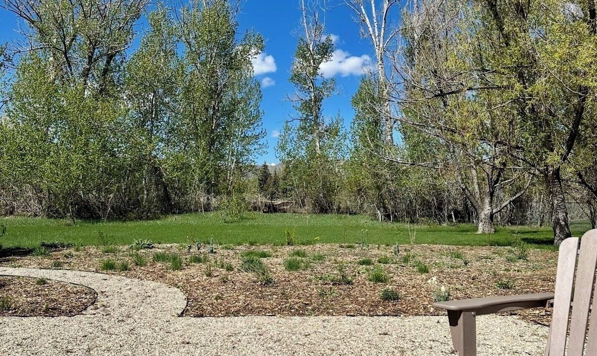 Photo of Outdoor in Bellevue