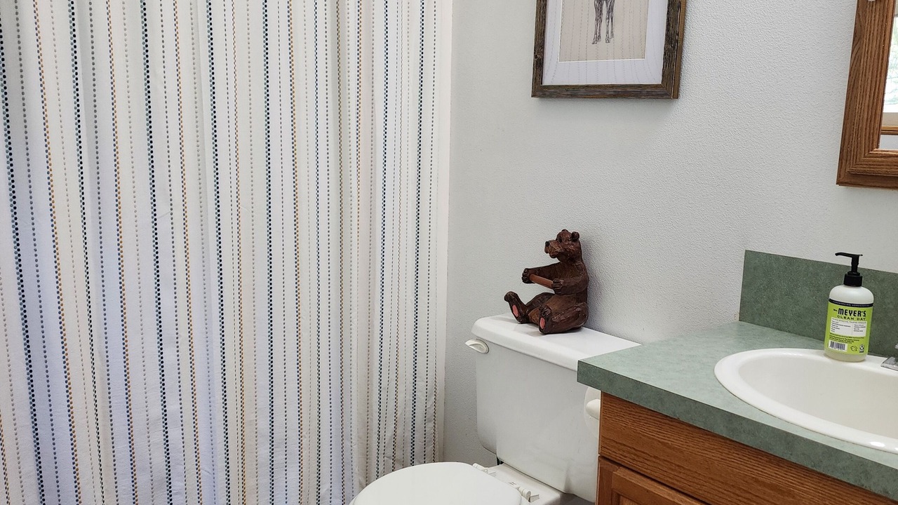 Photo of Bathroom in Alpine
