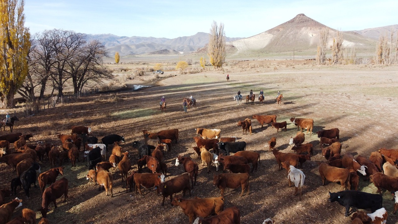 Photo of Outdoor in Denio Junction