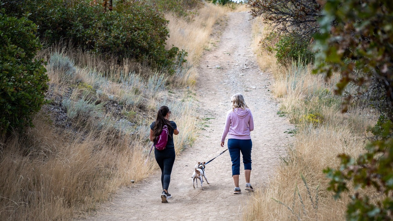 Photo of Others in Wolf Creek