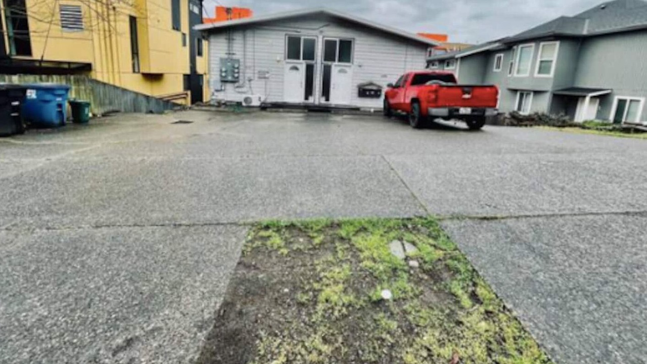 Photo of Others in West Queen Anne