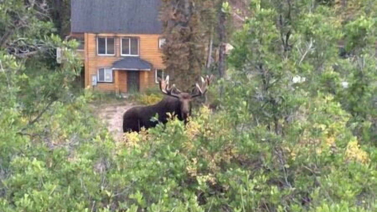 Photo of Others in Tollgate Canyon