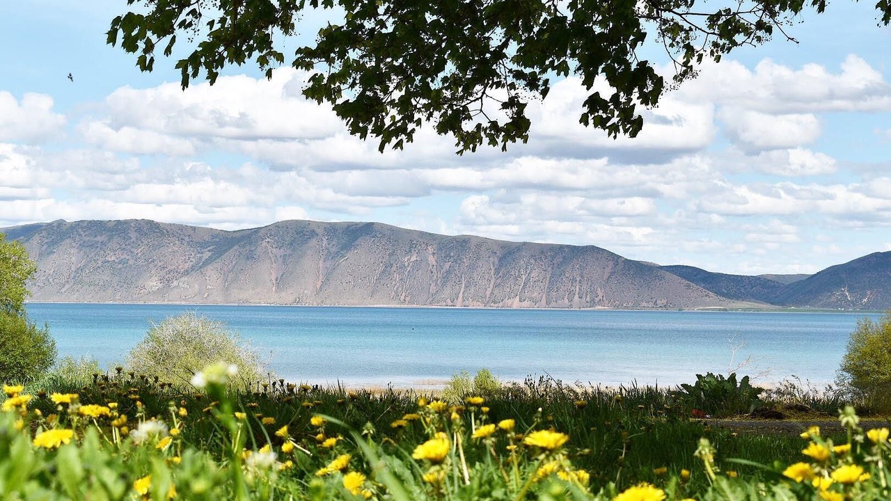 Photo of Outdoor in Garden City