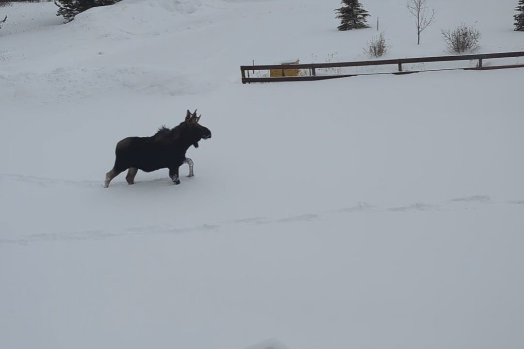 Photo of Outdoor in Lazy Acres