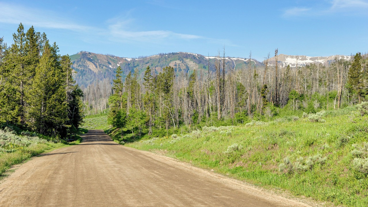 Photo of Others in Game Creek