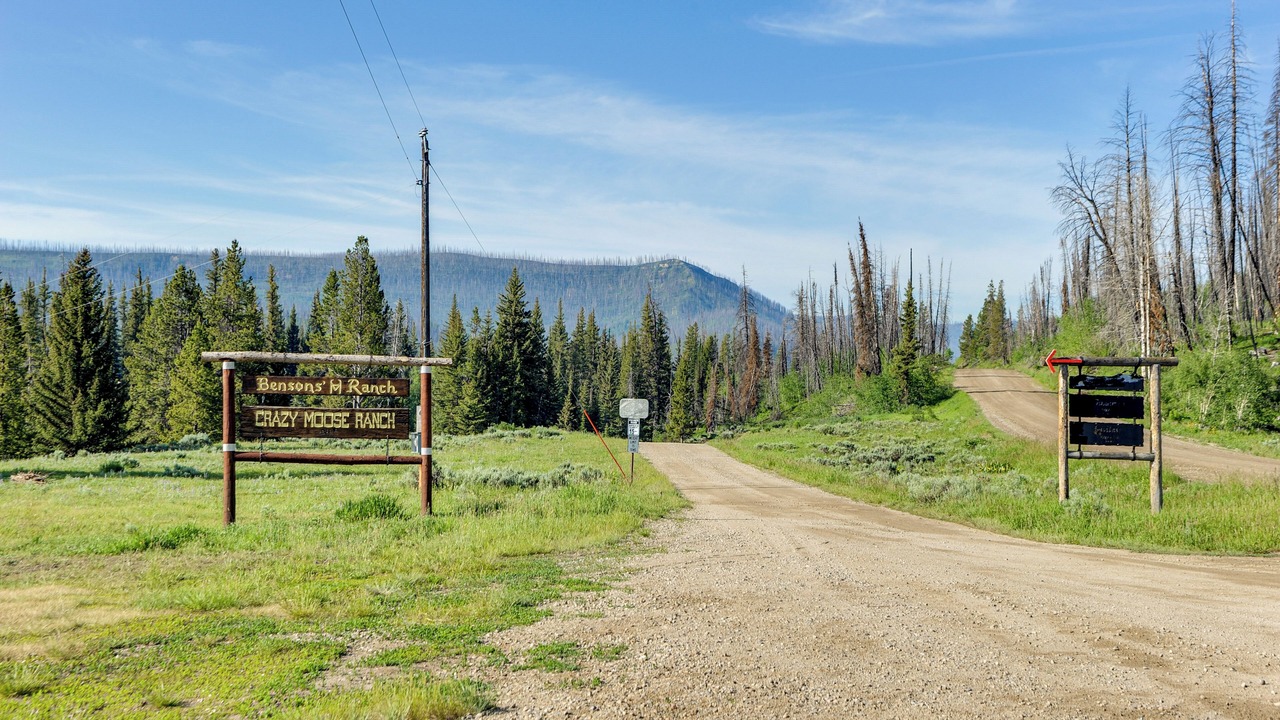 Photo of Outdoor in Game Creek
