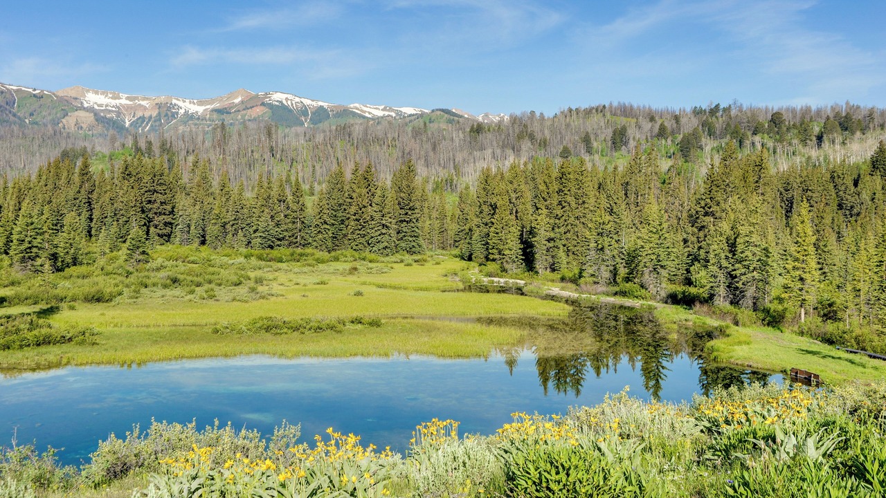 Photo of Others in Game Creek