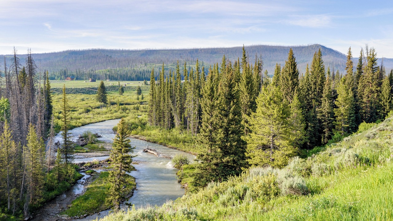 Photo of Others in Game Creek