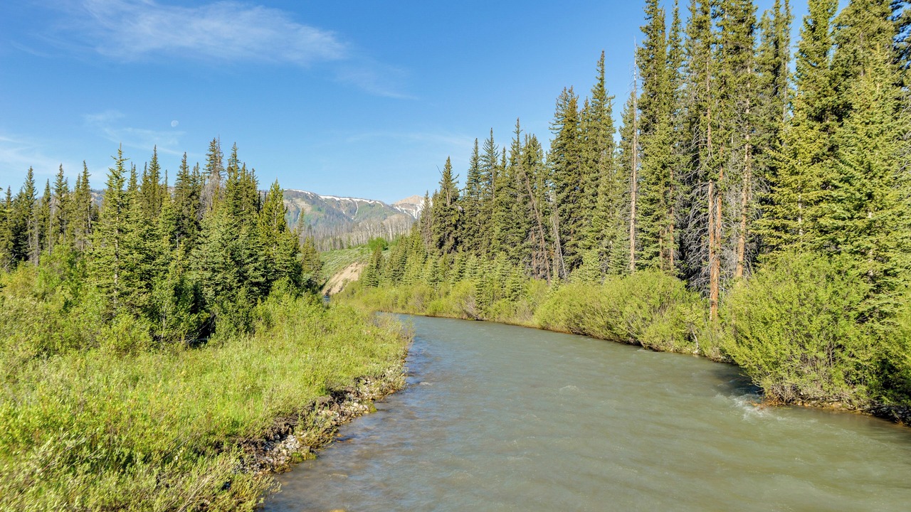 Photo of Others in Game Creek