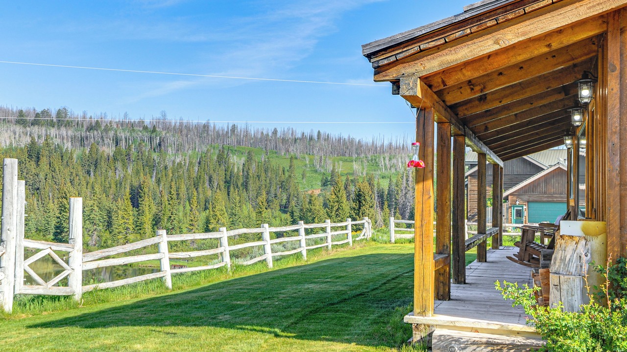 Photo of Outdoor in Game Creek
