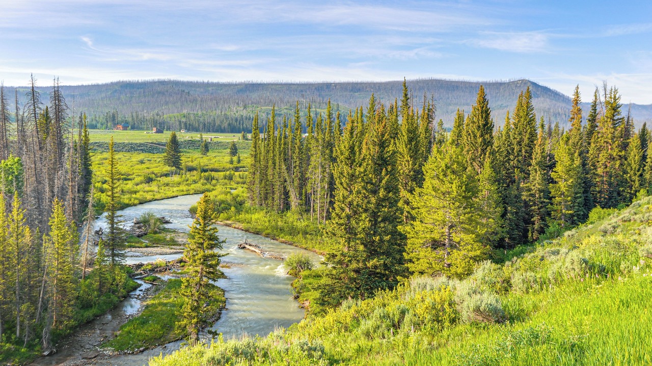 Photo of Others in Game Creek