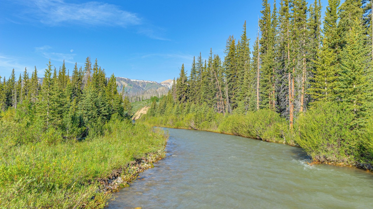 Photo of Others in Game Creek