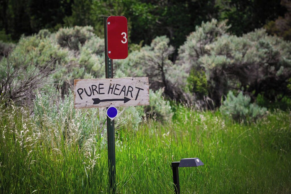 Photo of Outdoor in Wapiti
