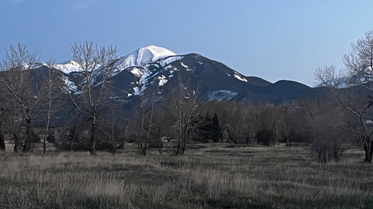 Photo of Outdoor in Livingston