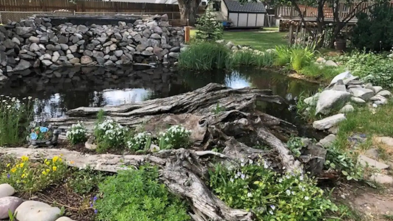 Photo of Outdoor in Irwin