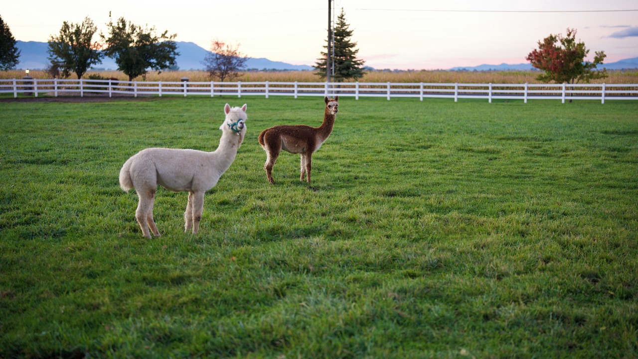 Photo of Outdoor in Preston