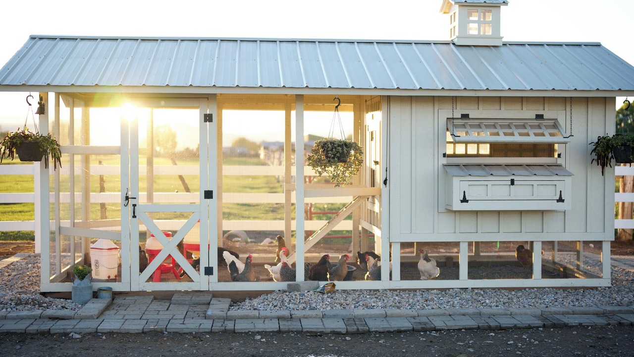Photo of Outdoor in Preston