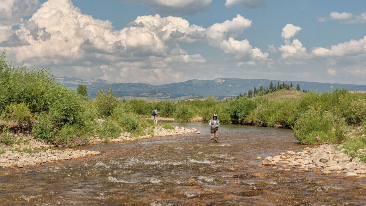 Photo of Others in Game Creek
