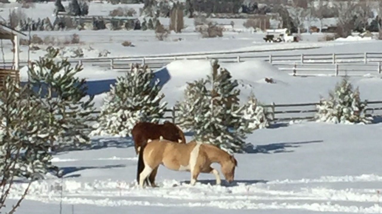 Photo of Others in Idaho Falls