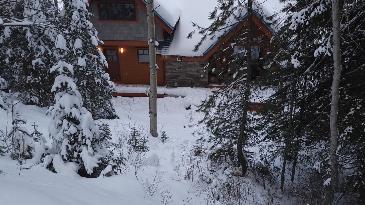 Photo of Outdoor in Golden