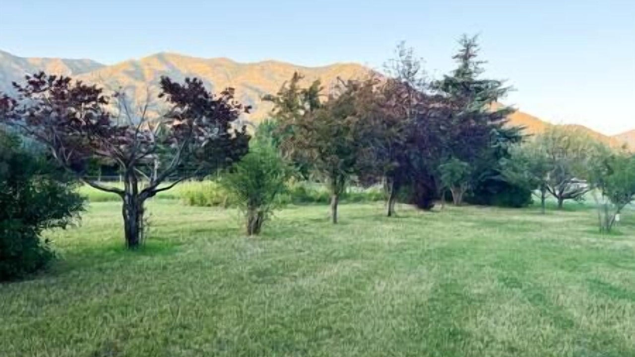 Photo of Others in Alpine Northwest