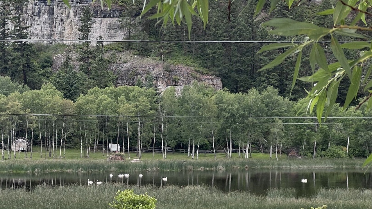 Photo of Outdoor in Somers