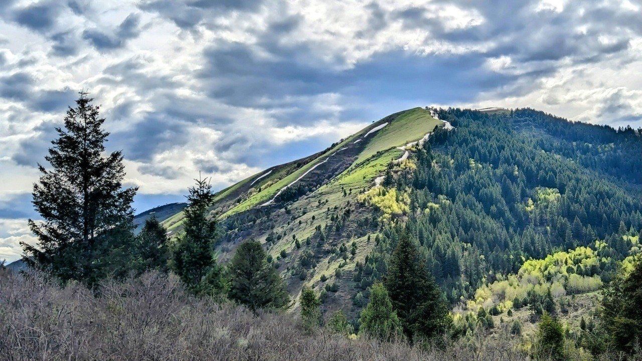 Photo of Others in Irwin