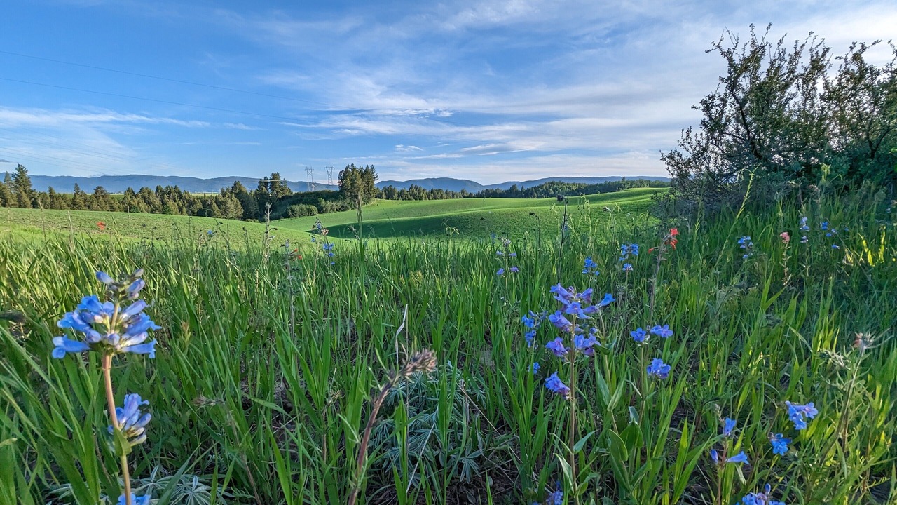 Photo of Outdoor in Irwin