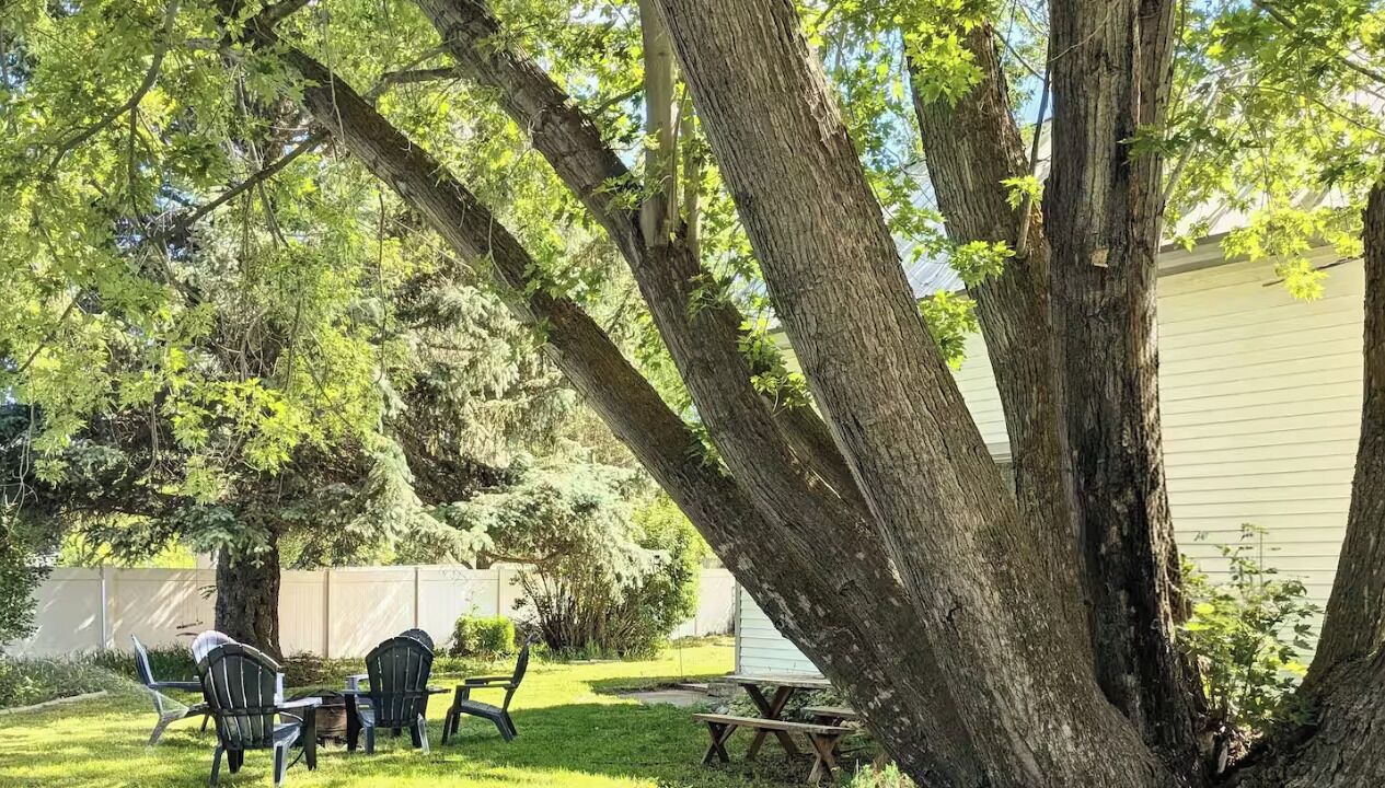 Photo of Others in Teton