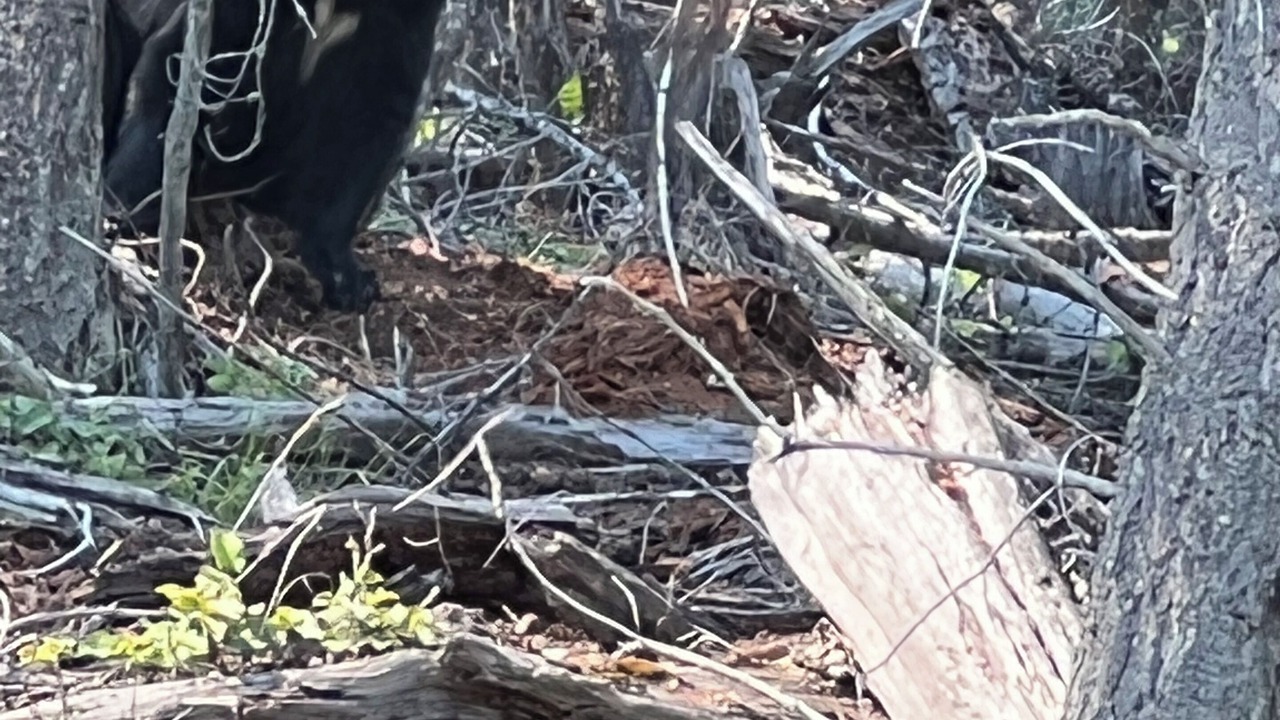 Photo of Others in Marion