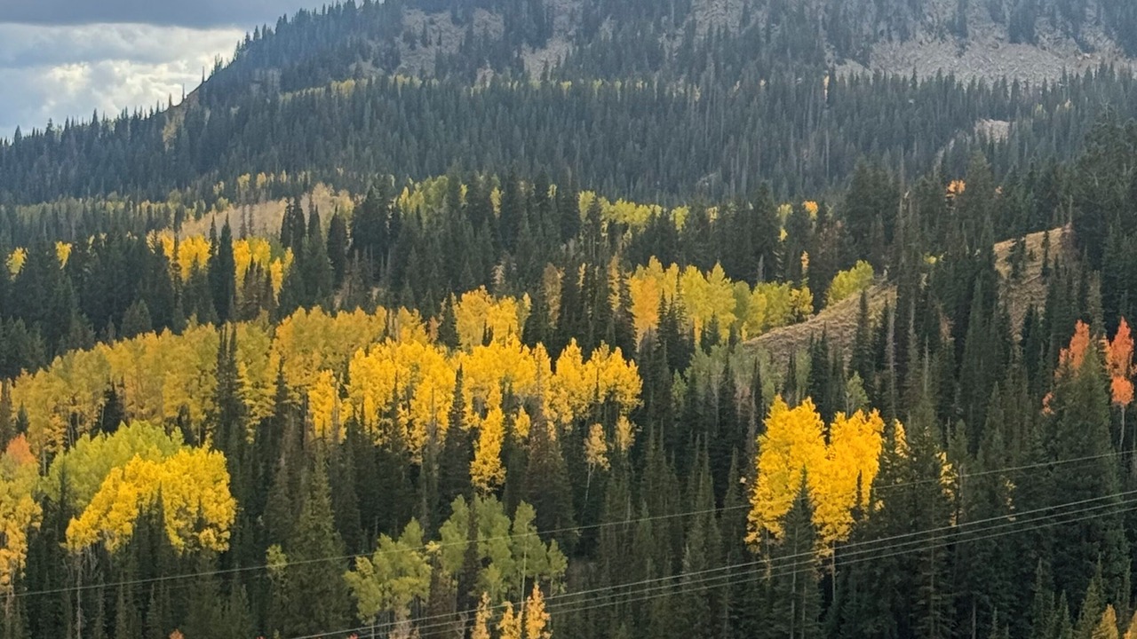 Photo of Others in Bear Hollow Village