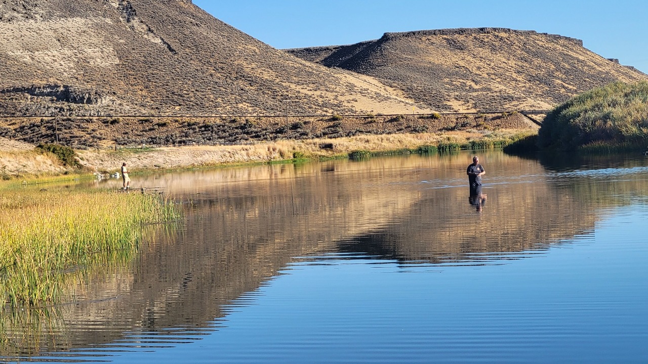 Photo of Others in Silver City