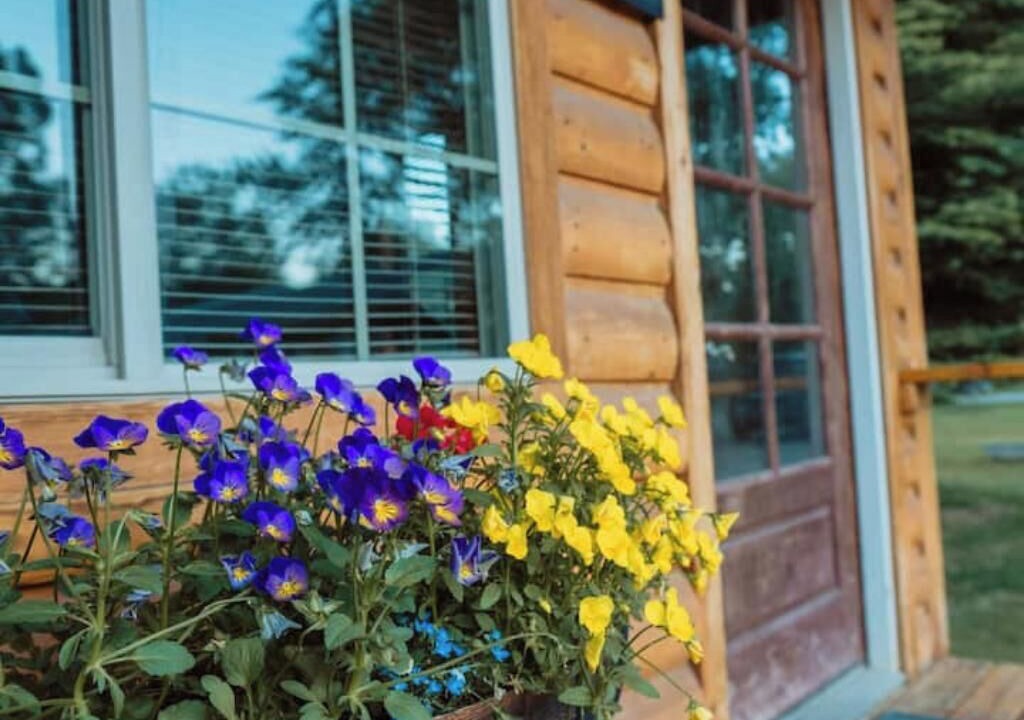 Photo of Outdoor in Ririe
