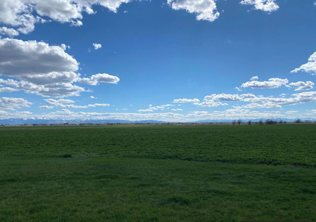 Photo of Others in Bozeman
