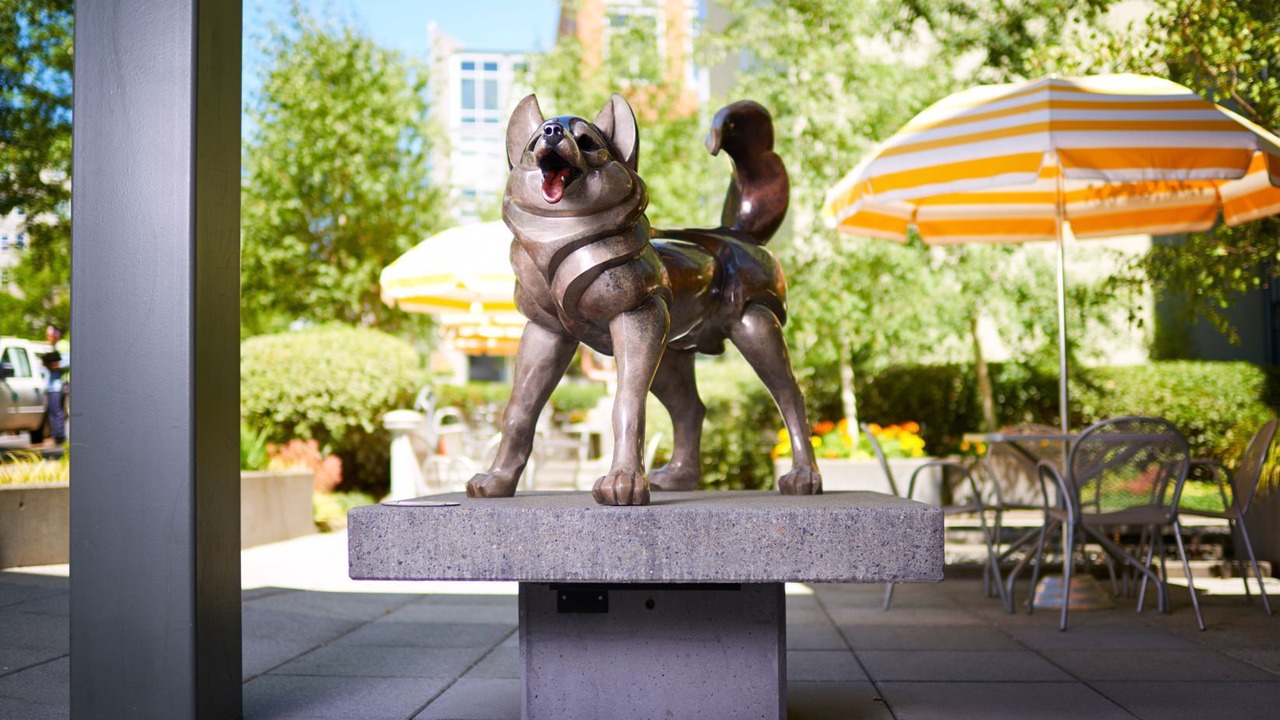 Photo of Outdoor in University District