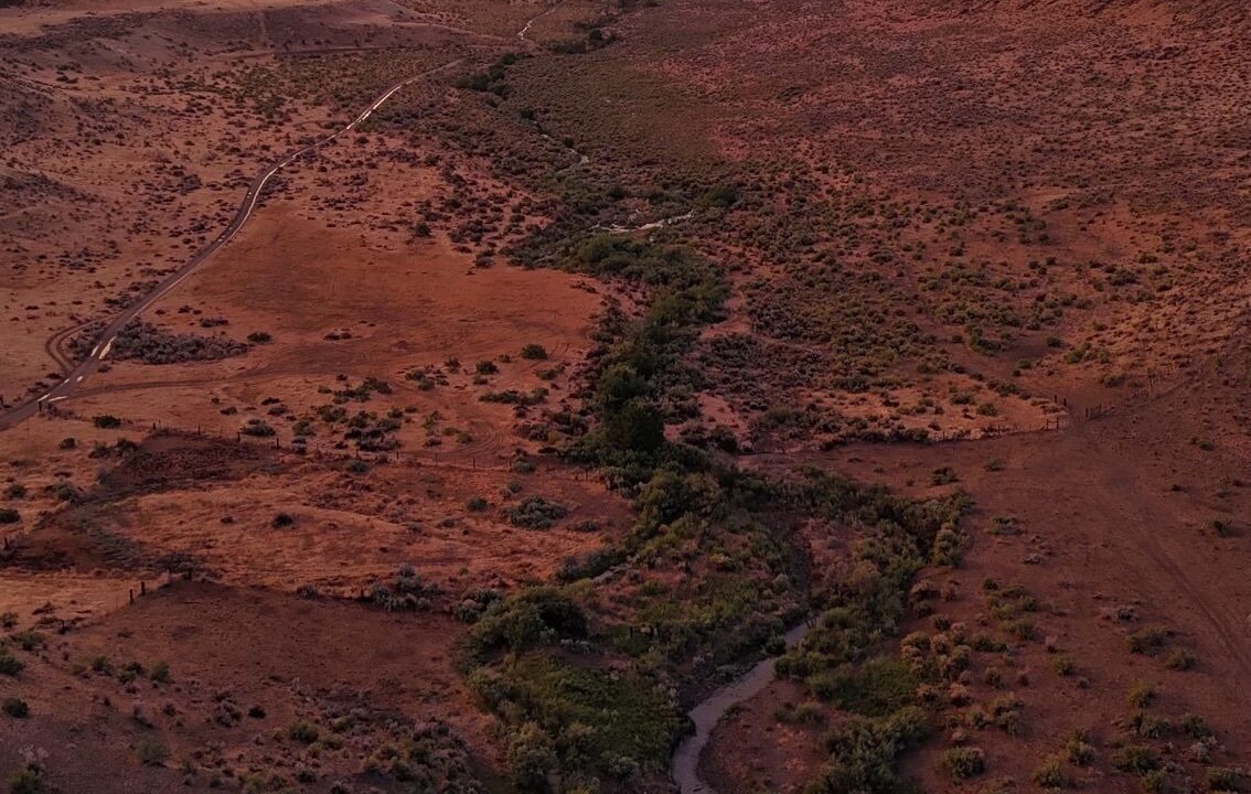 Photo of Others in Denio Junction