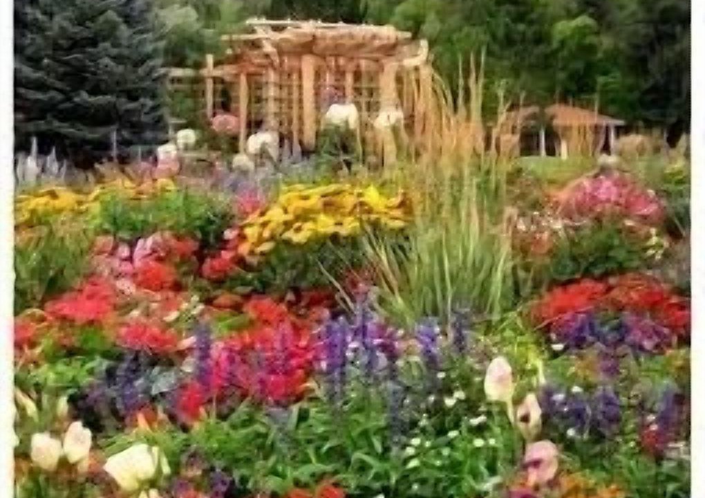 Photo of Others in North Ogden