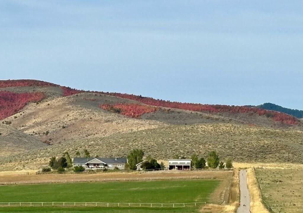Photo of Others in Holbrook