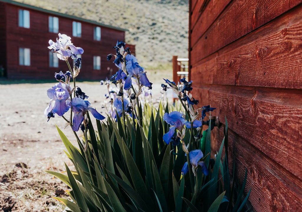 Photo of Outdoor in Blaine County