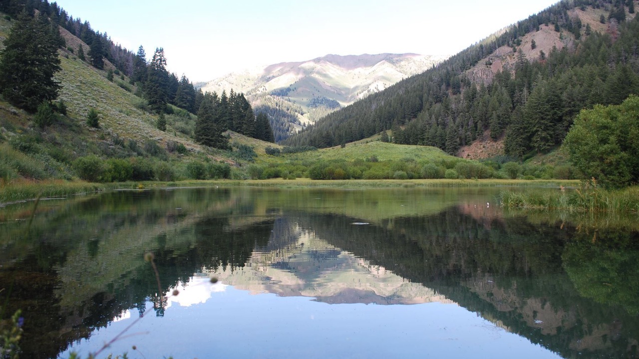 Photo of Others in Elkhorn Village