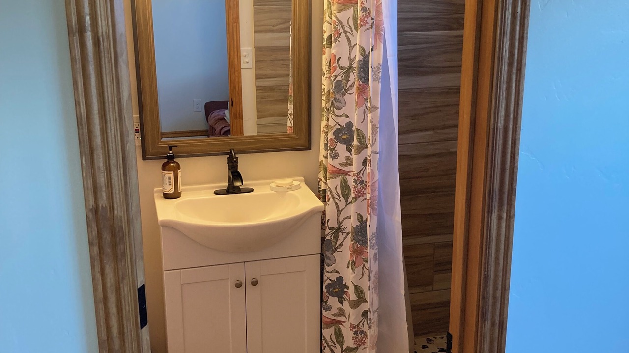 Photo of Bathroom in Swanlake