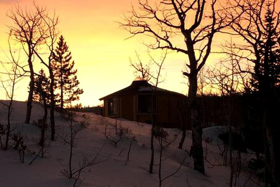 Photo of Others in Walden